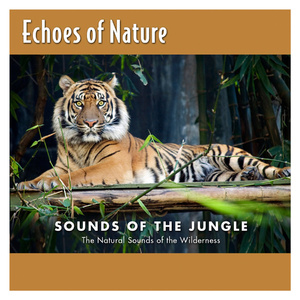 久九九精品免费视频
